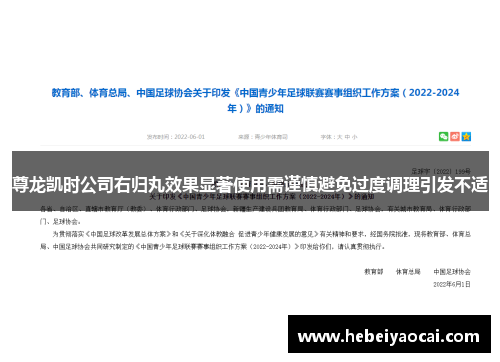 尊龙凯时公司右归丸效果显著使用需谨慎避免过度调理引发不适