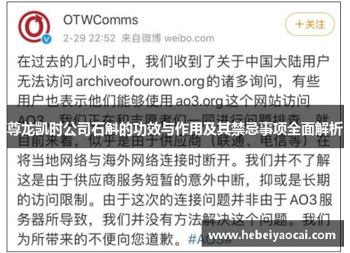 尊龙凯时公司石斛的功效与作用及其禁忌事项全面解析