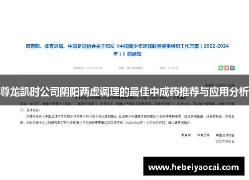 尊龙凯时公司阴阳两虚调理的最佳中成药推荐与应用分析