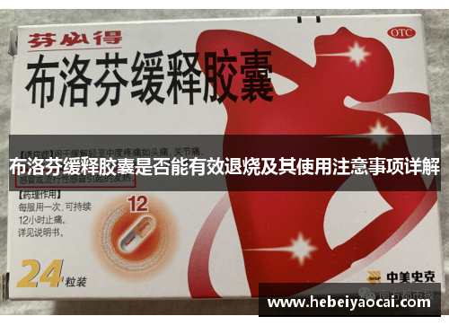布洛芬缓释胶囊是否能有效退烧及其使用注意事项详解