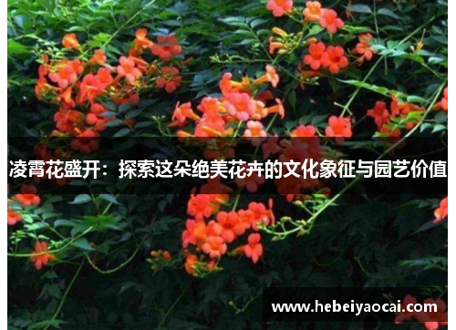 凌霄花盛开：探索这朵绝美花卉的文化象征与园艺价值