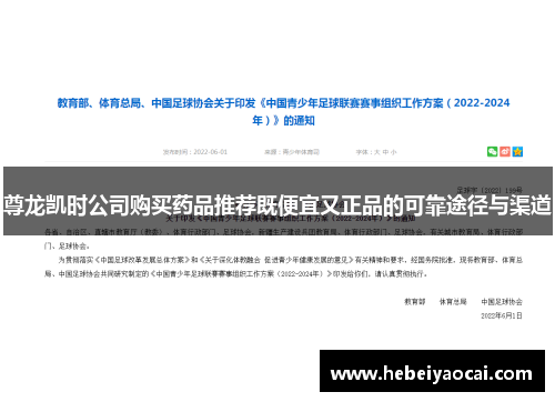 尊龙凯时公司购买药品推荐既便宜又正品的可靠途径与渠道